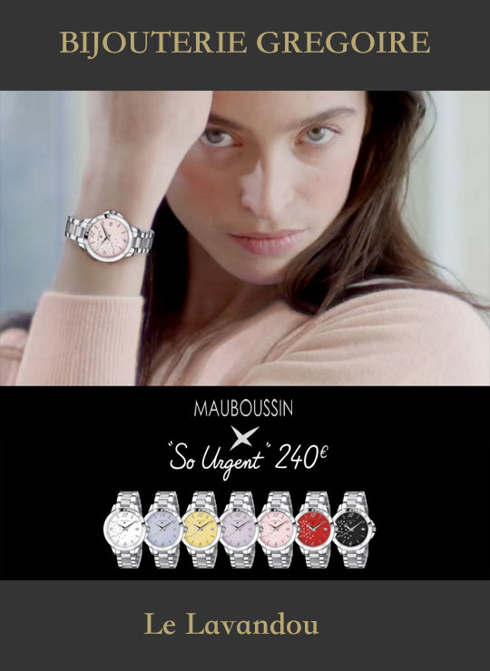 pub-mauboussin-le-lavandou